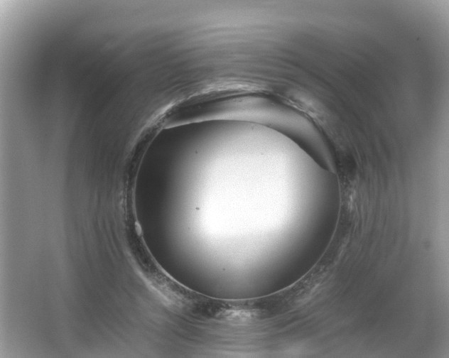 X0000065240352200602211219