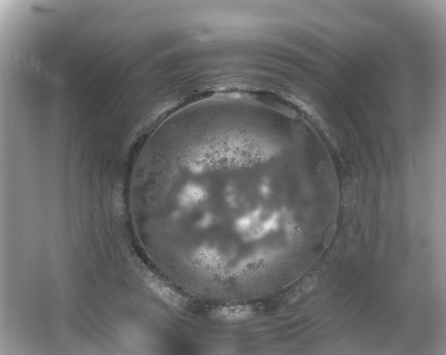 X0000065240353200602211219