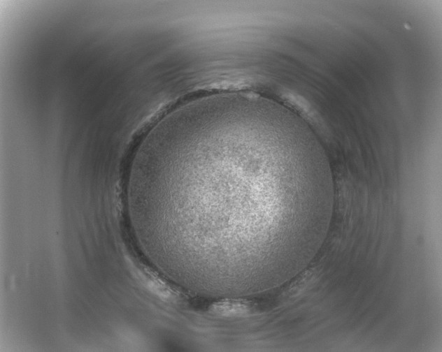 X0000065240354200602211219