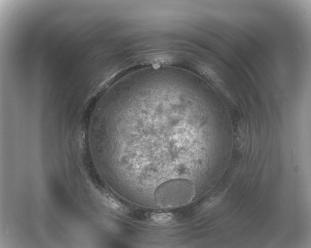 X0000065240355200602211219