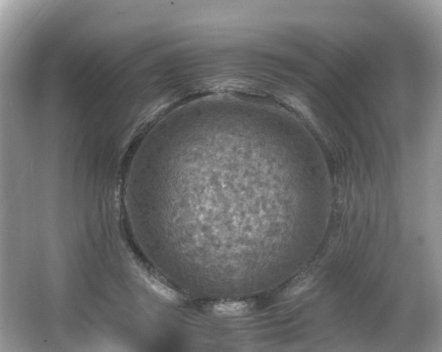 X0000065240357200602211219