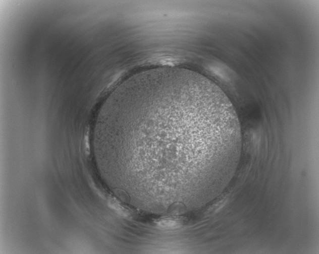 X0000065240358200602211219