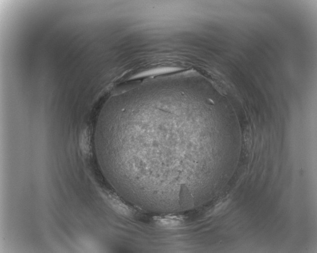 X0000065240359200602211219