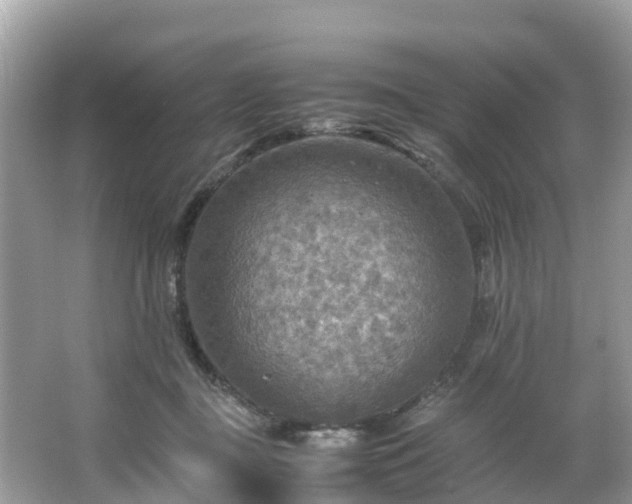 X0000065240363200602211219