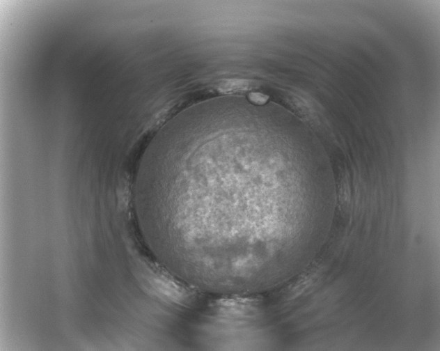 X0000065240367200602211219