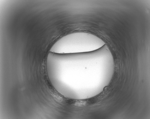 X0000065240369200602211219