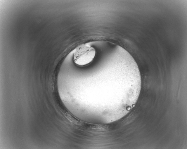 X0000065240370200602211219