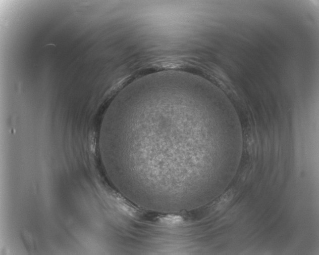 X0000065240374200602211219