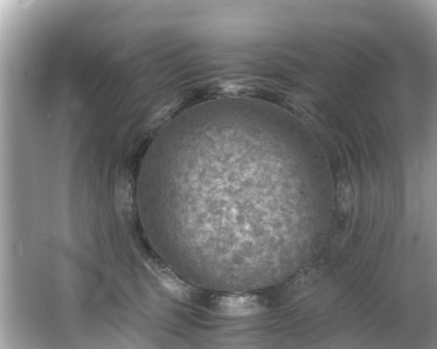 X0000065240375200602211219