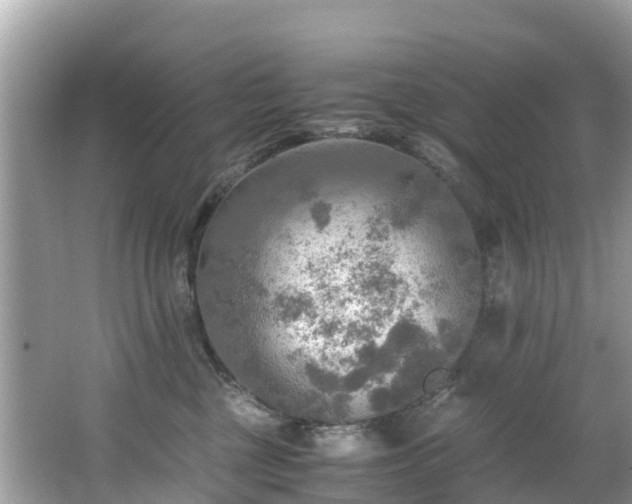 X0000065240377200602211220