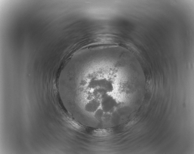 X0000065240381200602211220