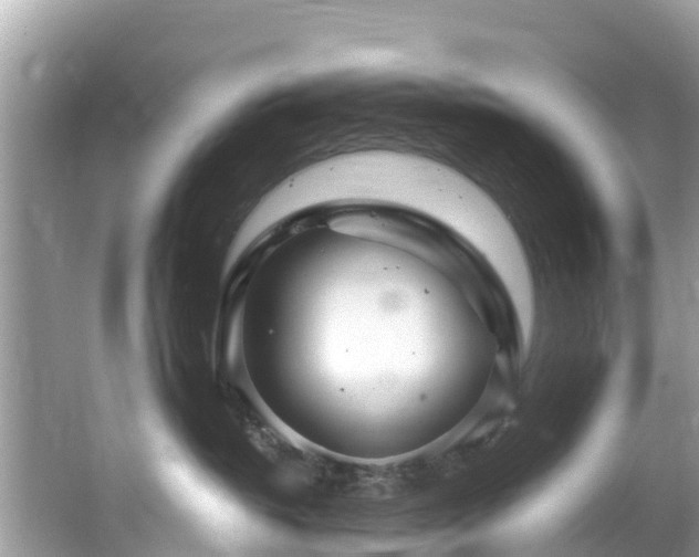 X0000065240382200602211220