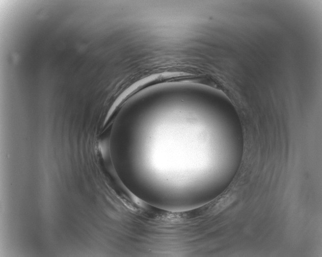 X0000065240384200602211220