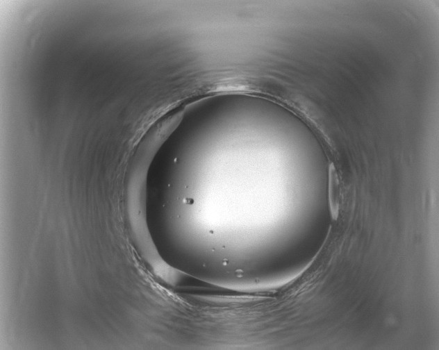 X0000065240385200602211219