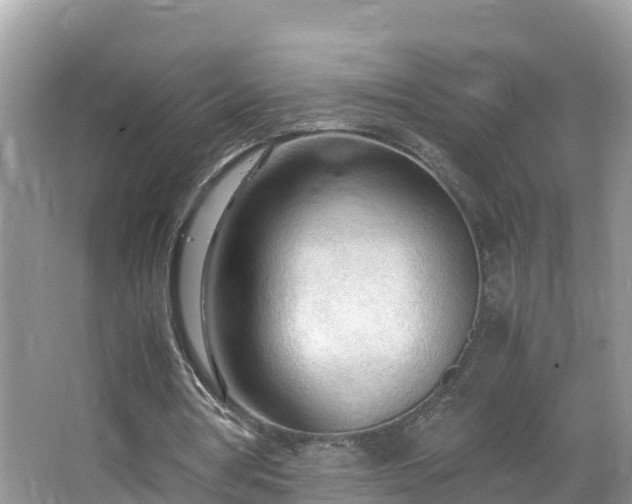 X0000065240386200602211219