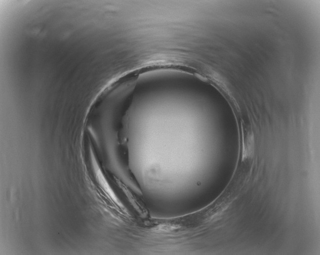 X0000065240387200602211219