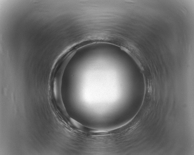 X0000065240388200602211219