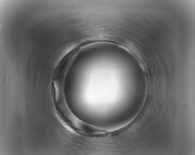 X0000065240389200602211219