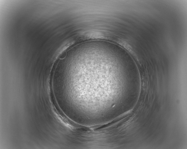 X0000065240390200602211219