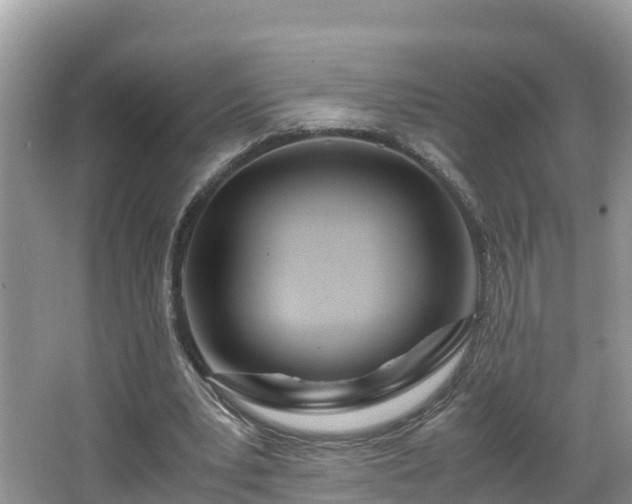 X0000065240391200602211219