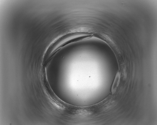 X0000065240392200602211219