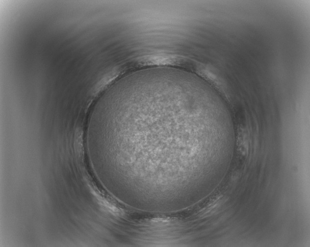 X0000065240394200602211219