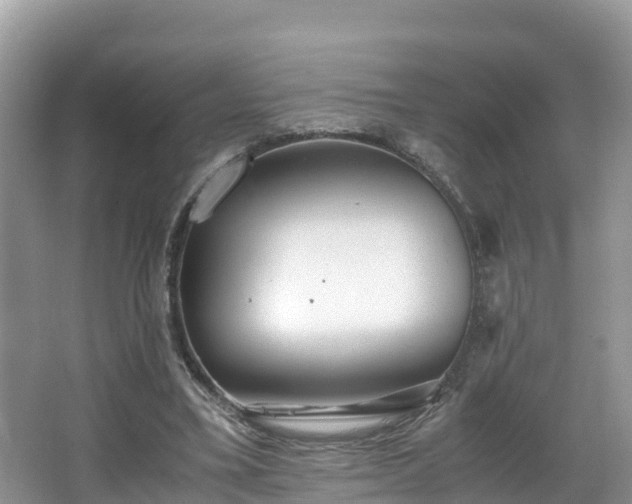 X0000065240395200602211219