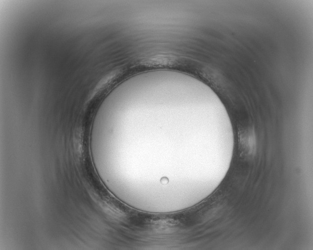 X0000065240396200602211219