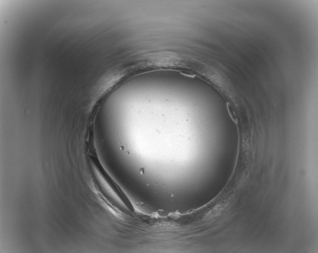 X0000065240397200602211219