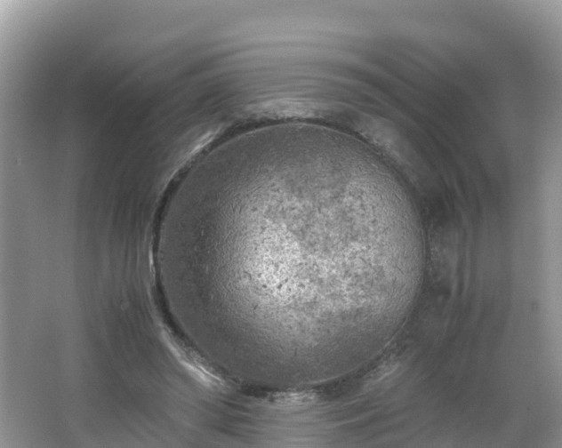 X0000065240398200602211219