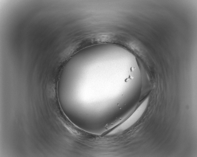 X0000065240401200602211218