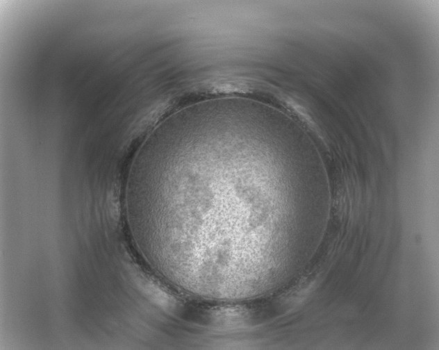 X0000065240402200602211218