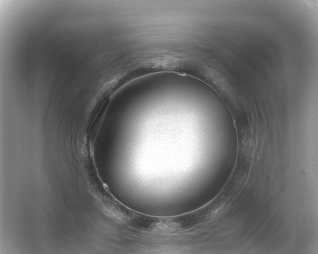 X0000065240403200602211218