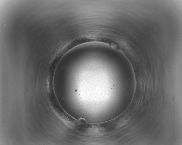 X0000065240404200602211218