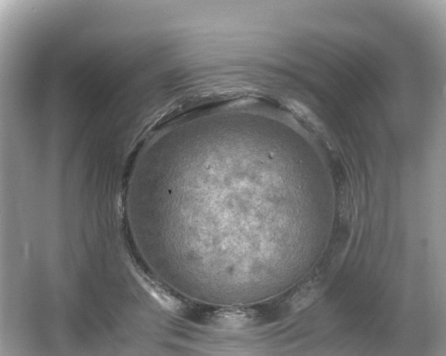 X0000065240405200602211218