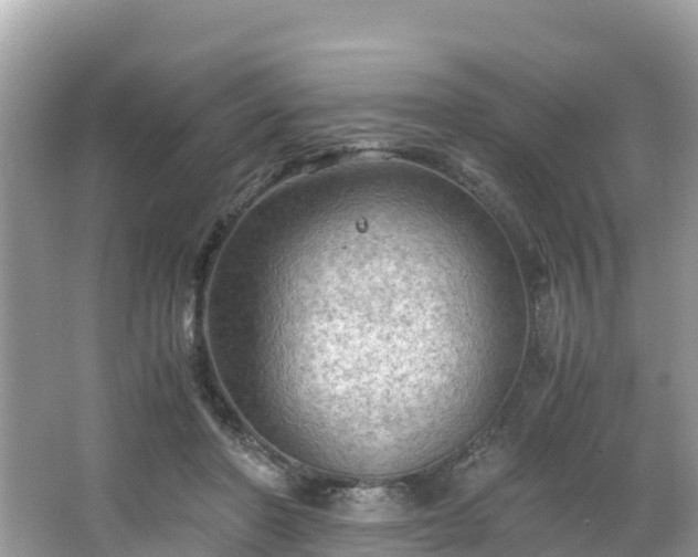 X0000065240406200602211218