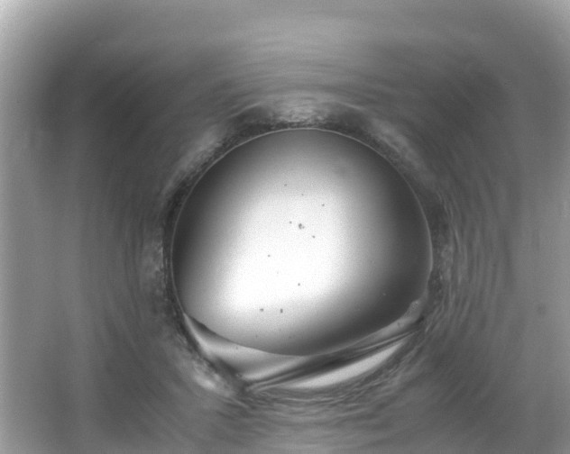 X0000065240407200602211218