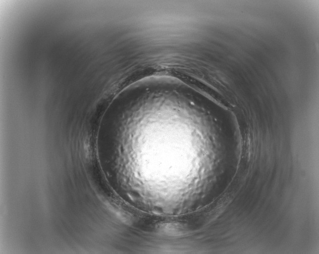 X0000065240408200602211218