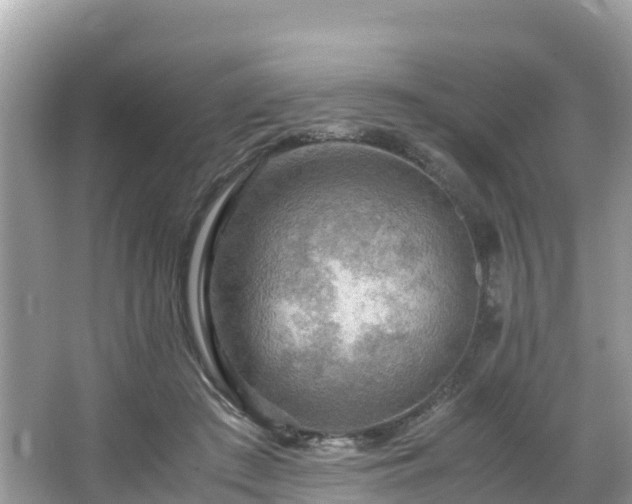 X0000065240409200602211218