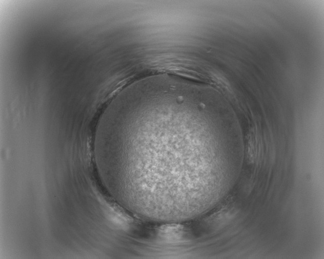 X0000065240410200602211218