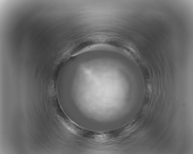 X0000065240411200602211218