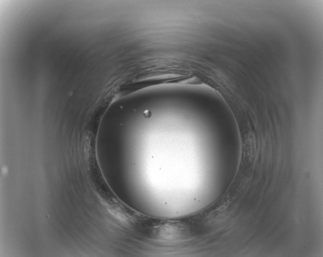 X0000065240412200602211218