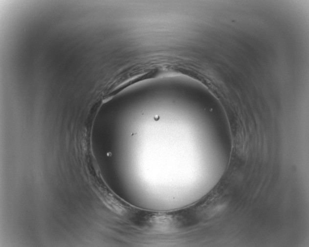 X0000065240413200602211218