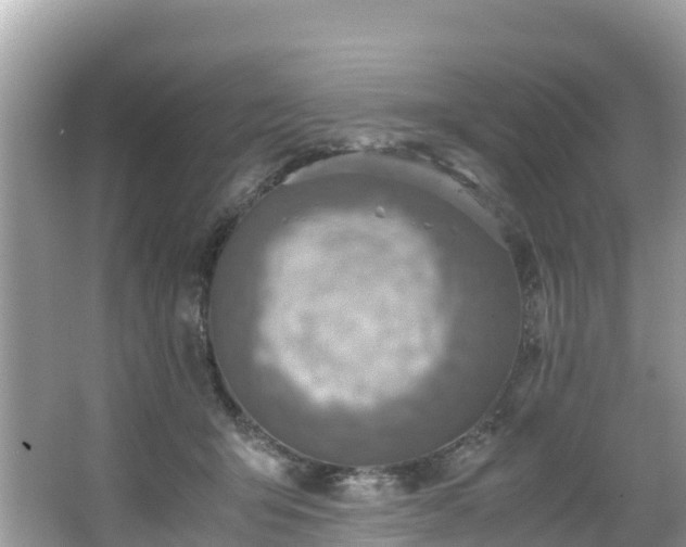 X0000065240415200602211218