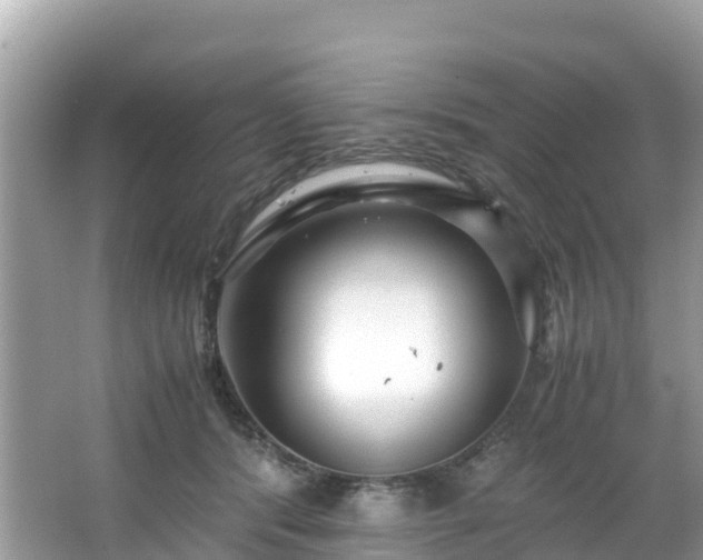 X0000065240416200602211218