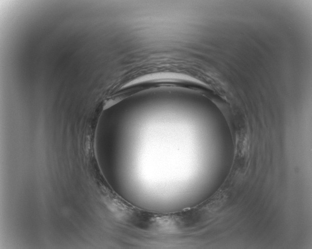 X0000065240417200602211218