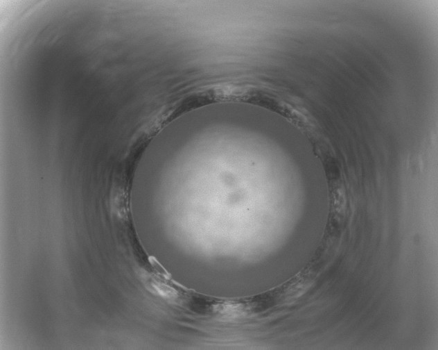 X0000065240419200602211218