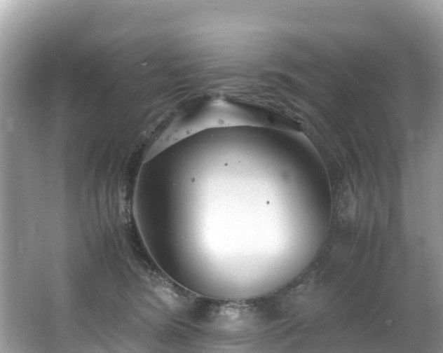 X0000065240420200602211218