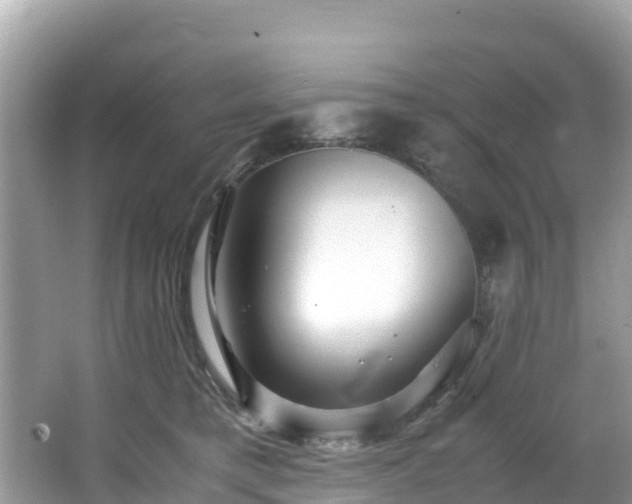 X0000065240421200602211218