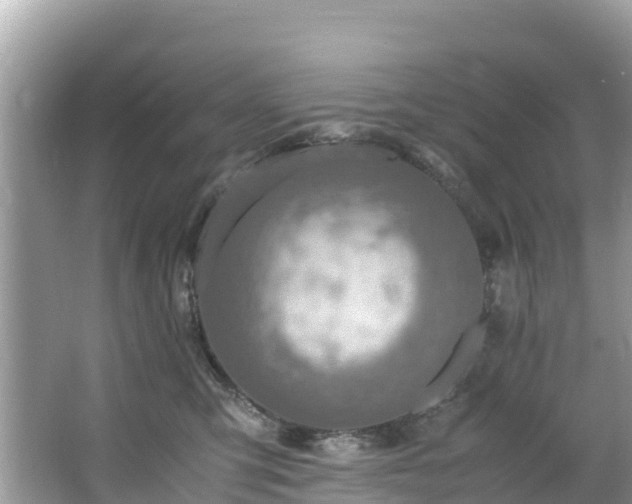 X0000065240423200602211218